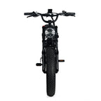 Electric Mountain Bike for Adults | 20 x 4.0 Fat Tires, 1000W Motor, 48V 20Ah Removable Battery, Max Speed 45MPH, Shi Mano 7-Speed for Off-Road Adventures